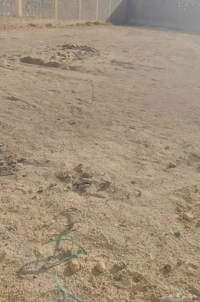 Warehouses and Yards for Rent in Al Kharj Al Afajah - 2